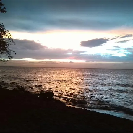 Buena Onda